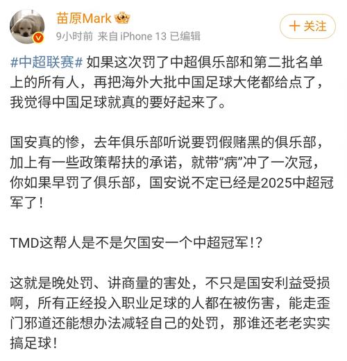 媒体人：足协评议结果挺意外，可能这个程度的手臂打开都要判犯规