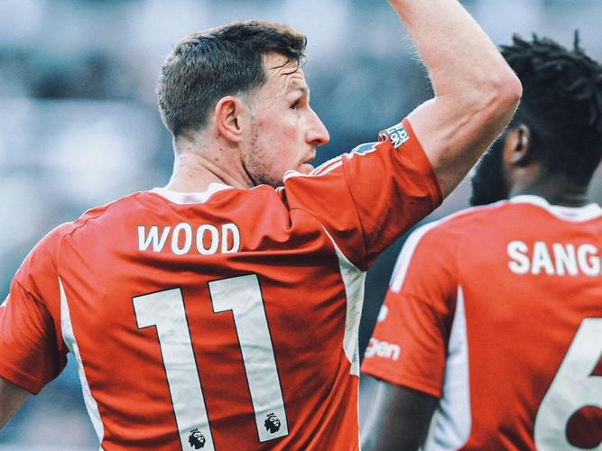 电讯报评选英超历史十大球员亨利名列第一吉格斯第二德布劳内第五鲁尼第六C罗第七萨拉赫第八_英超直播